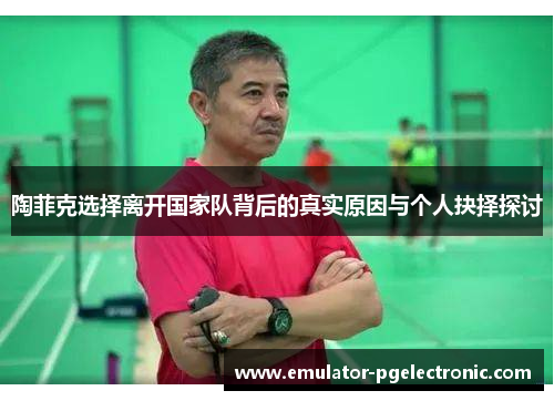 陶菲克选择离开国家队背后的真实原因与个人抉择探讨 陶菲克选择离开国家队背后的真实原因与个人抉择探讨