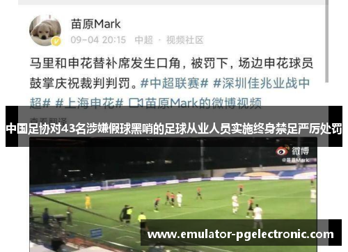 中国足协对43名涉嫌假球黑哨的足球从业人员实施终身禁足严厉处罚 中国足协对43名涉嫌假球黑哨的足球从业人员实施终身禁足严厉处罚