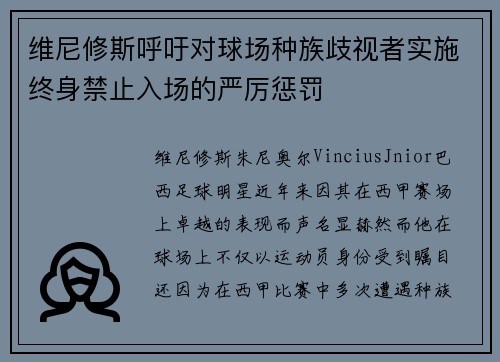 维尼修斯呼吁对球场种族歧视者实施终身禁止入场的严厉惩罚 维尼修斯呼吁对球场种族歧视者实施终身禁止入场的严厉惩罚