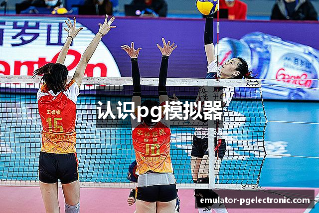 认识pg模拟器